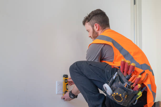 Best Electrical System Inspection  in Dowagiac, MI